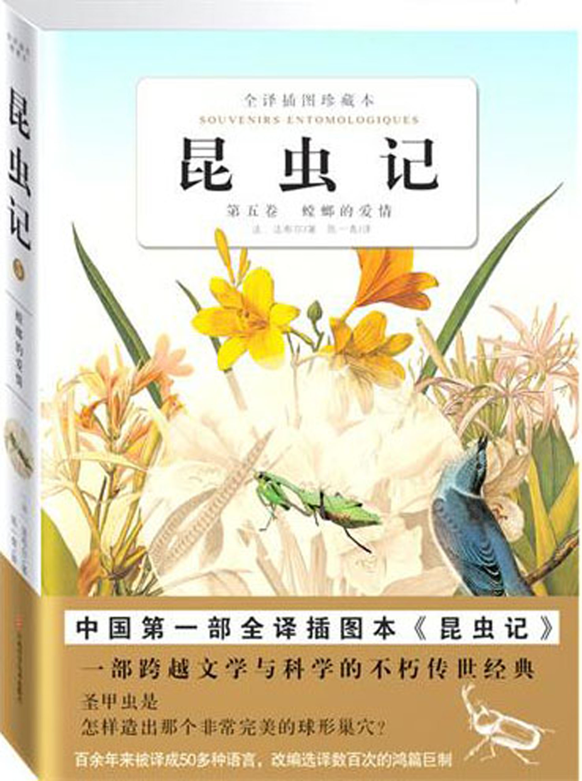 昆虫记卷5 封面