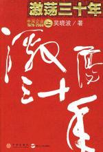 激荡三十年(上册)：中国企业1978-2008 封面