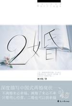 二婚 封面