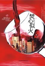 焚心似火 封面